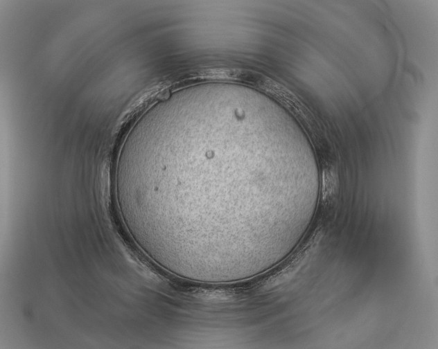 X0000112980349200909101719