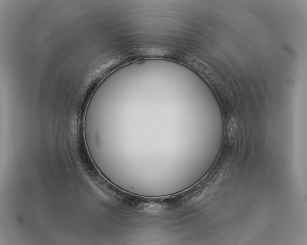 X0000112980352200909101719