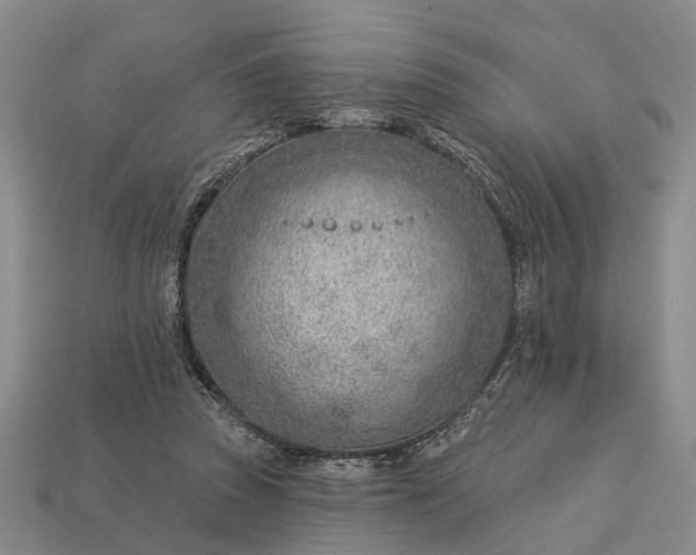 X0000112980353200909101719