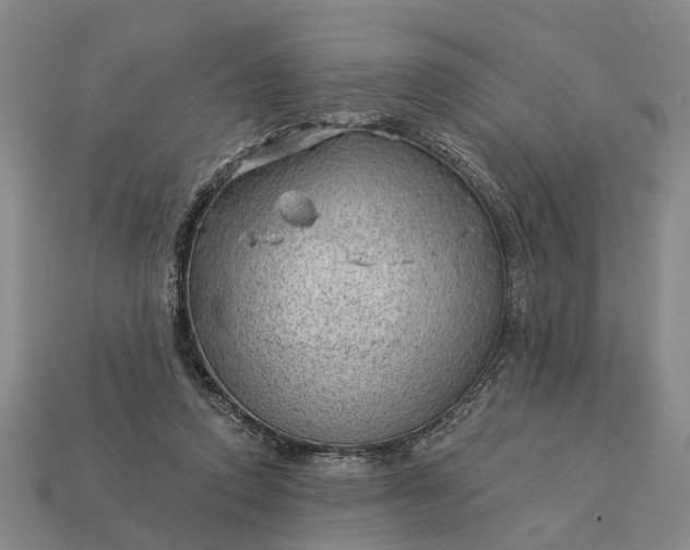 X0000112980354200909101719