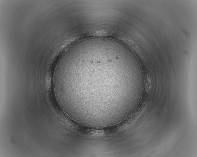 X0000112980355200909101719