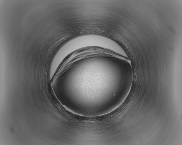 X0000112980356200909101719