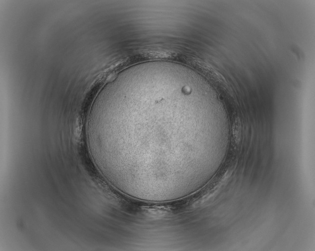 X0000112980359200909101719