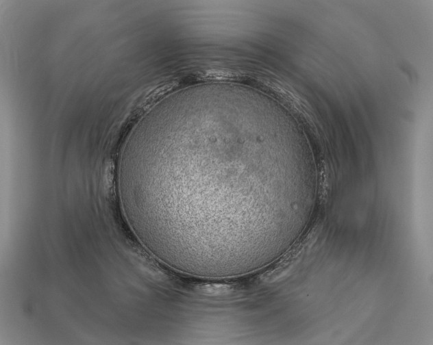 X0000112980361200909101719