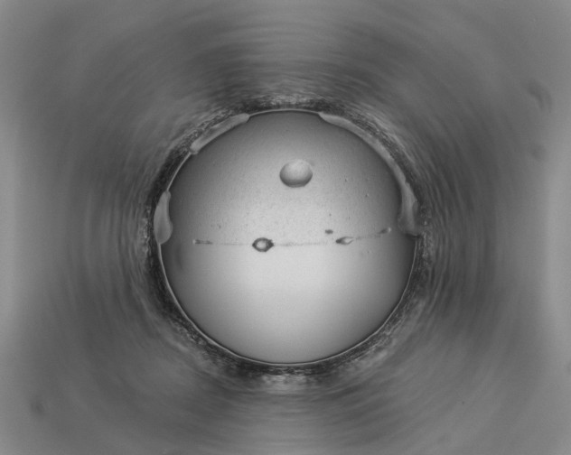 X0000112980362200909101719