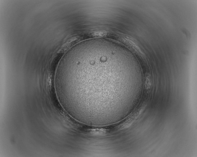 X0000112980363200909101719