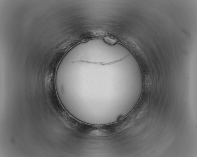 X0000112980364200909101719