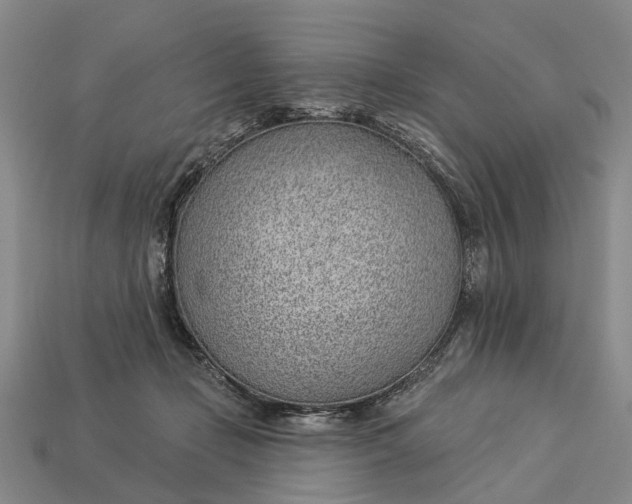 X0000112980365200909101719