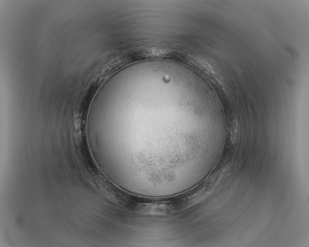 X0000112980366200909101719