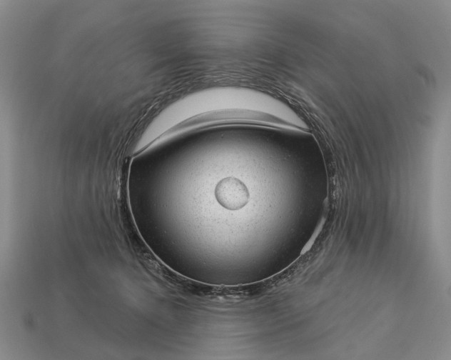 X0000112980368200909101719