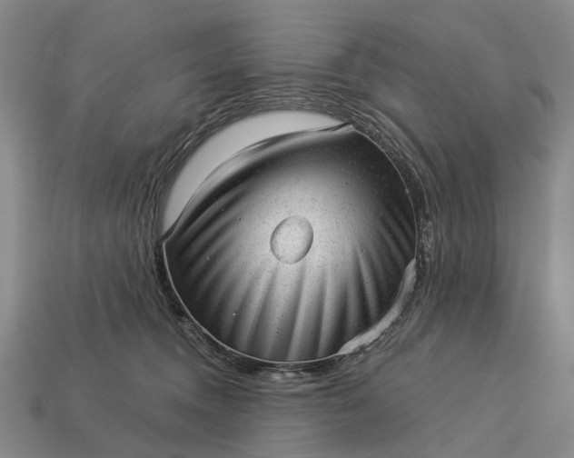 X0000112980372200909101719