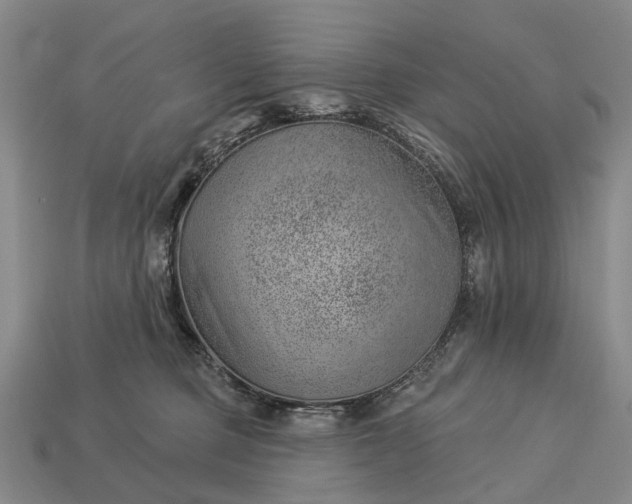 X0000112980373200909101719