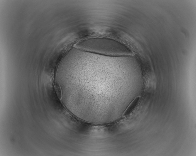 X0000112980376200909101719