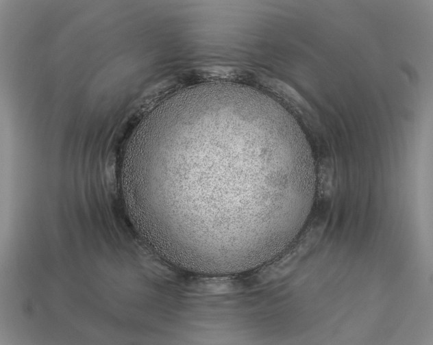 X0000112980377200909101719