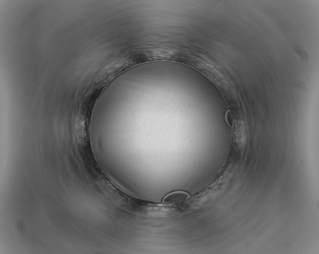 X0000112980378200909101719