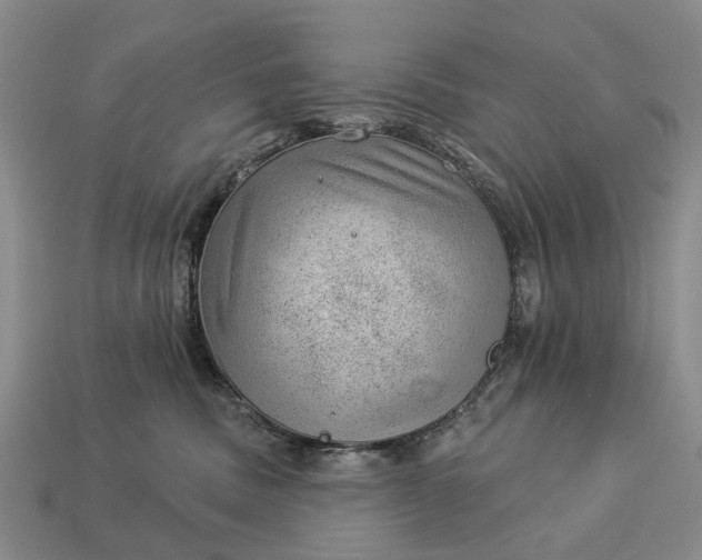 X0000112980379200909101719