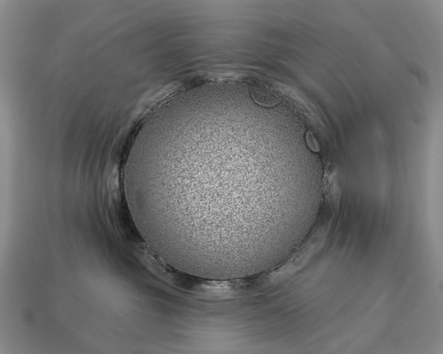 X0000112980381200909101719