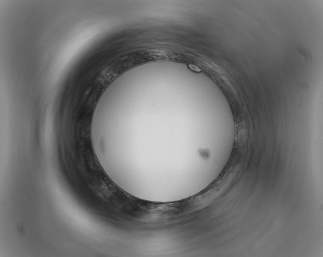 X0000112980382200909101719