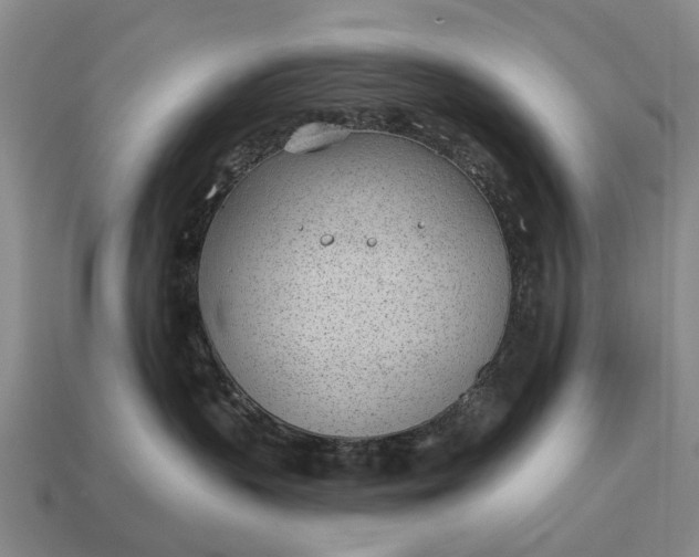 X0000112980383200909101719