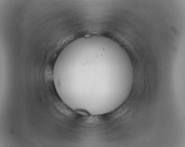 X0000112980384200909101719