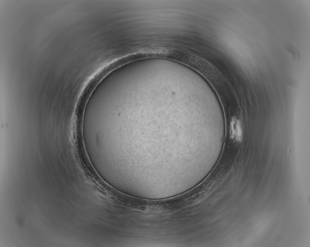 X0000112980388200909101719