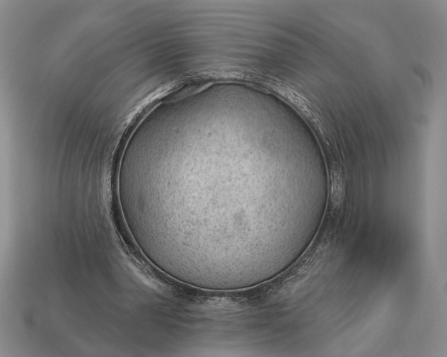 X0000112980390200909101719