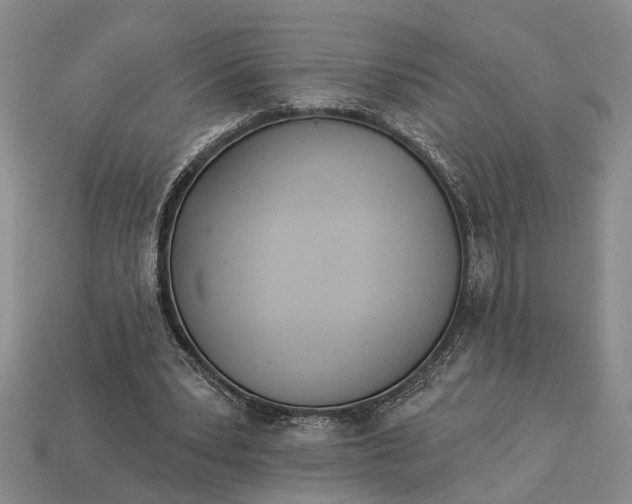 X0000112980391200909101719