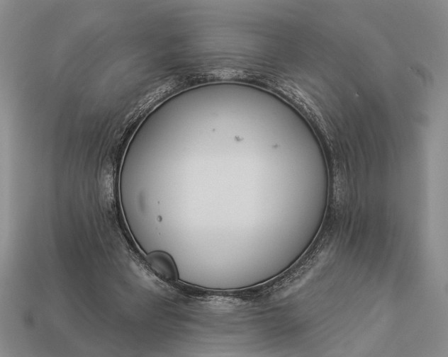 X0000112980393200909101719