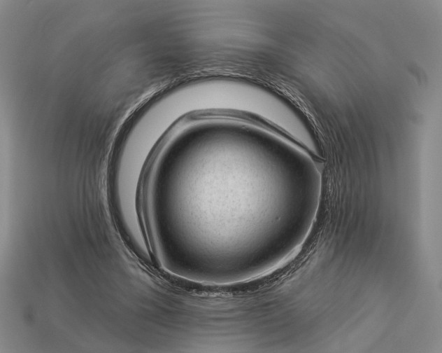 X0000112980395200909101719