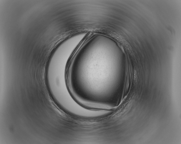 X0000112980397200909101718