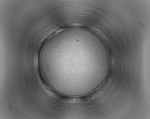 X0000112980398200909101718