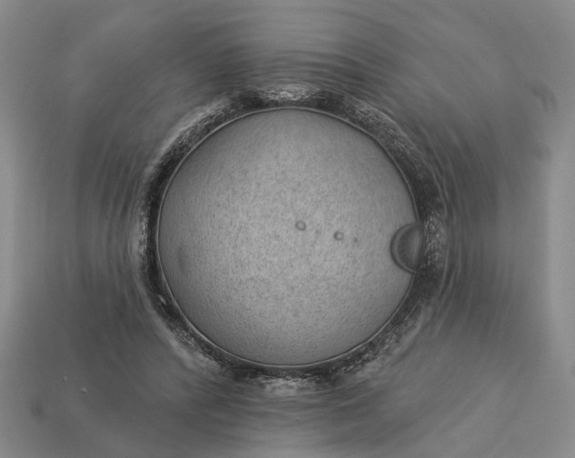 X0000112980400200909101718