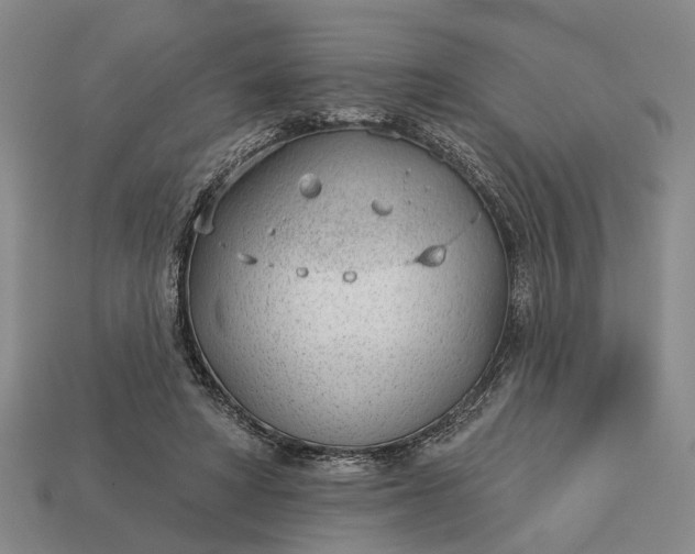 X0000112980402200909101718