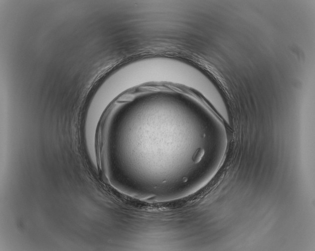 X0000112980403200909101718