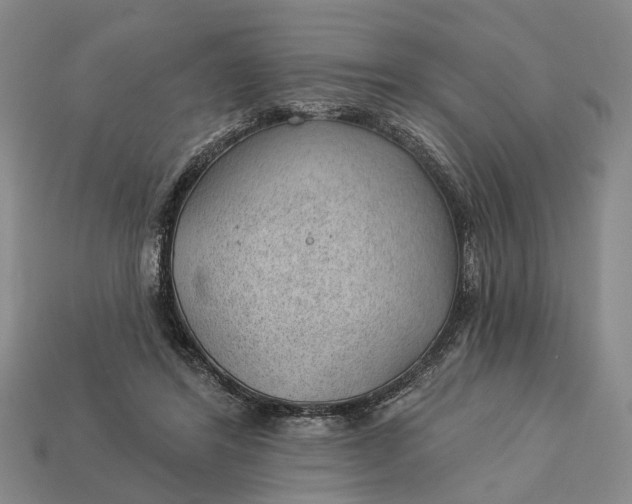 X0000112980404200909101718