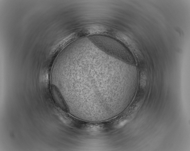 X0000112980405200909101718