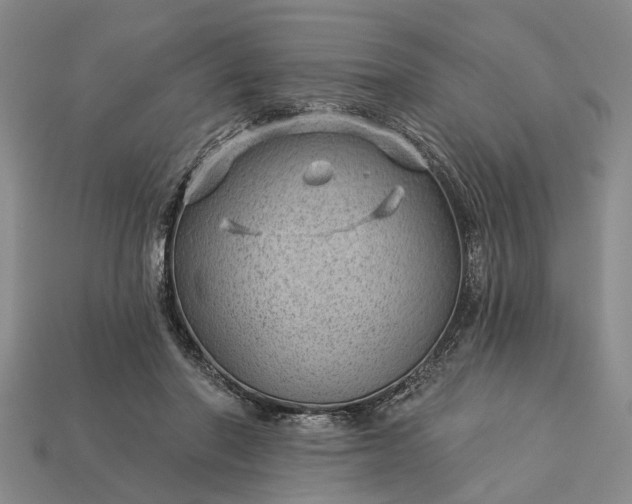 X0000112980406200909101718