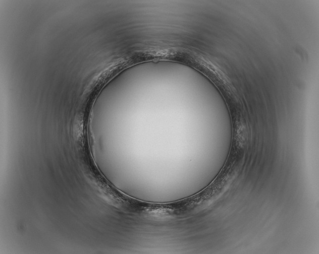 X0000112980407200909101718