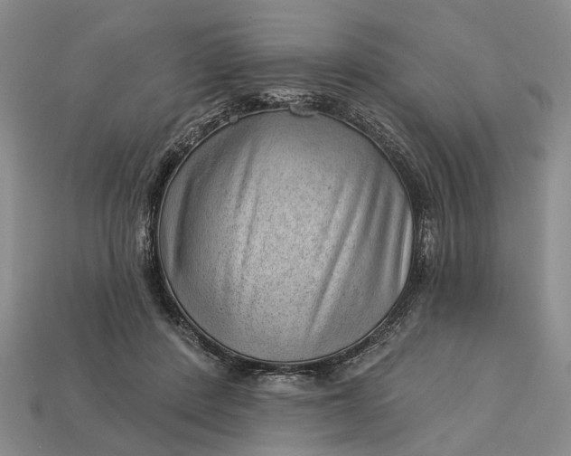 X0000112980408200909101718