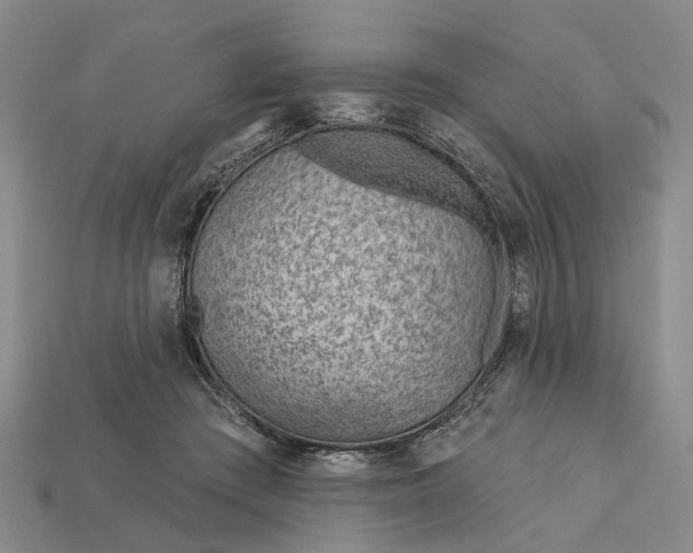 X0000112980409200909101718