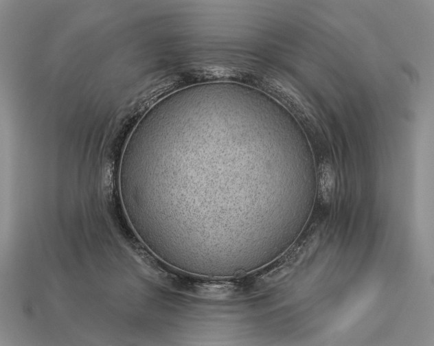 X0000112980410200909101718