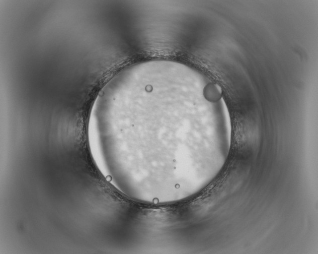 X0000112980411200909101718