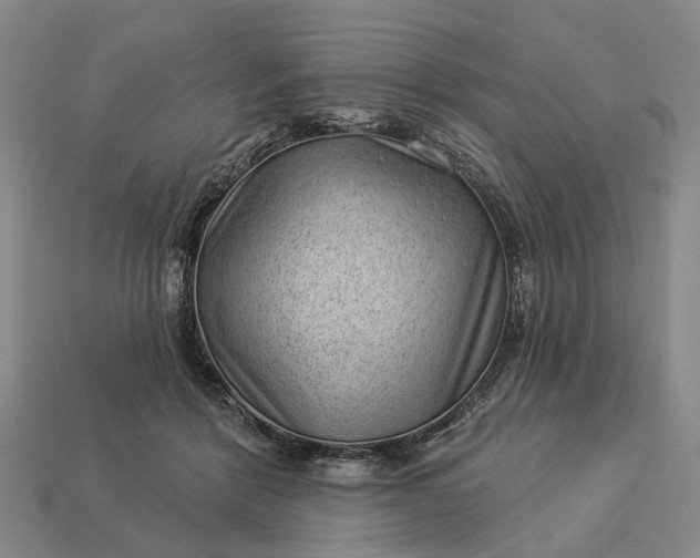 X0000112980412200909101718