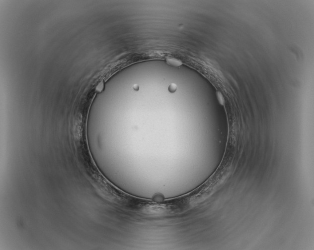 X0000112980413200909101718