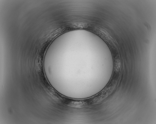 X0000112980414200909101718