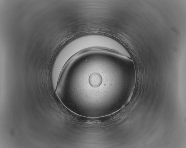 X0000112980415200909101718