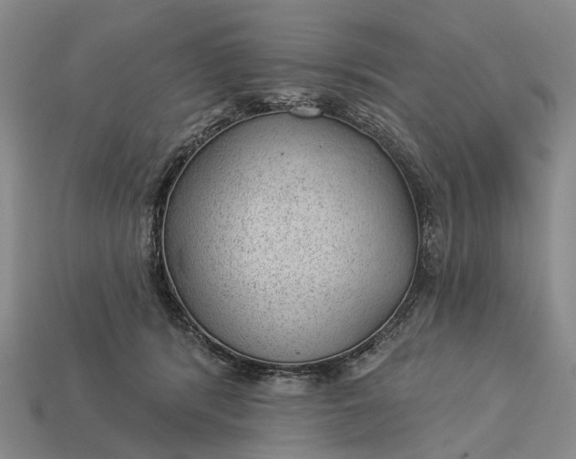 X0000112980416200909101718