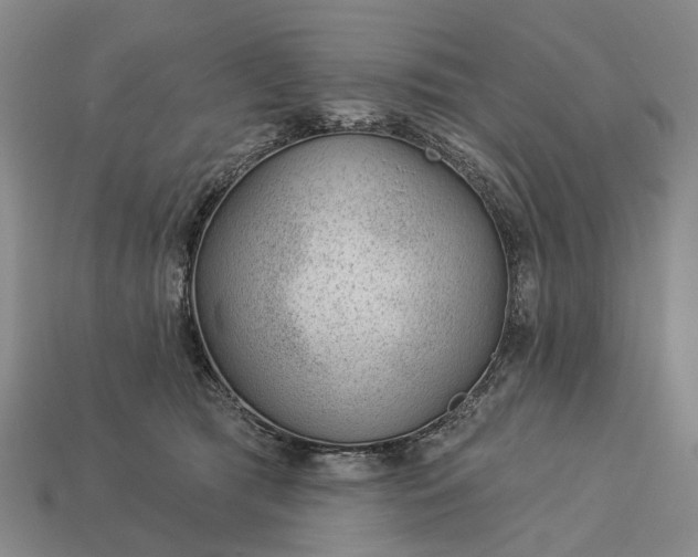 X0000112980417200909101718