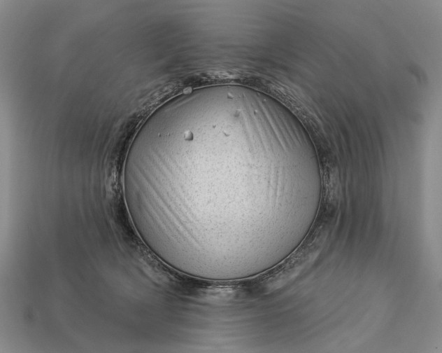 X0000112980418200909101718