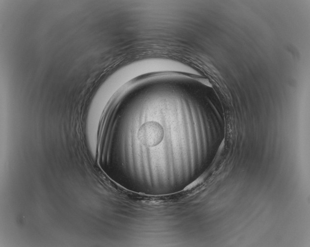 X0000112980419200909101718